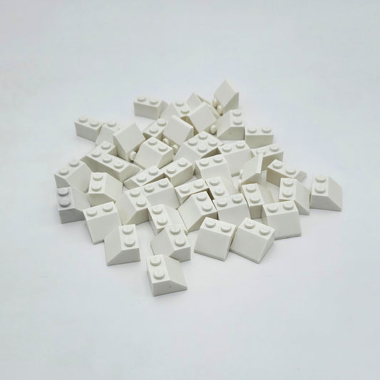Confezione Tetto 2X2 Bianco 1